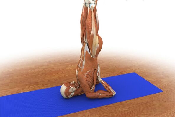 «Қайың» потенциалы үшін жаттығу